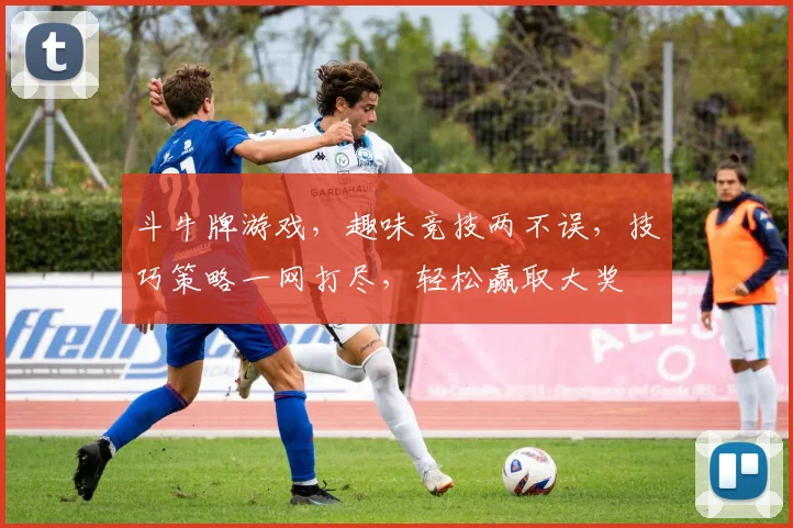 斗牛牌游戏，趣味竞技两不误，技巧策略一网打尽，轻松赢取大奖