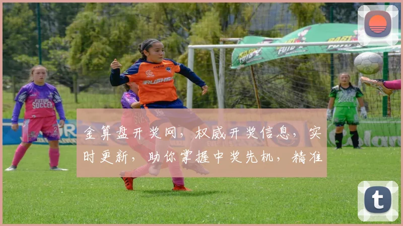 金算盘开奖网，权威开奖信息，实时更新，助你掌握中奖先机，精准投注