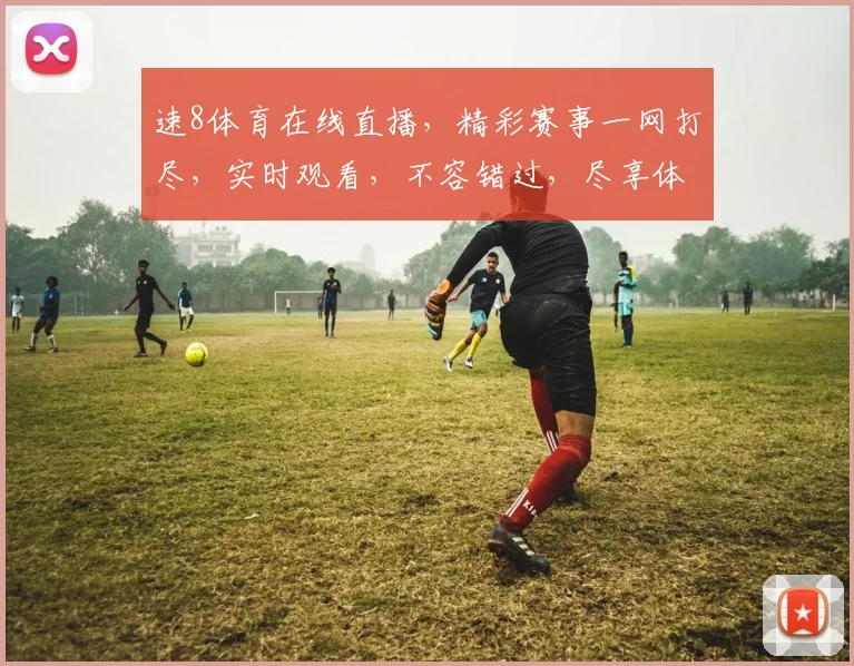速8体育在线直播，精彩赛事一网打尽，实时观看，不容错过，尽享体育盛宴