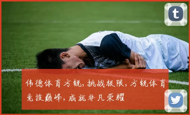 伟德体育方锐,挑战极限,方锐体育竞技巅峰,成就非凡荣耀