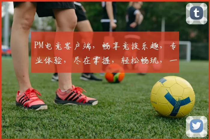 PM电竞客户端，畅享竞技乐趣，专业体验，尽在掌握，轻松畅玩，一触即达