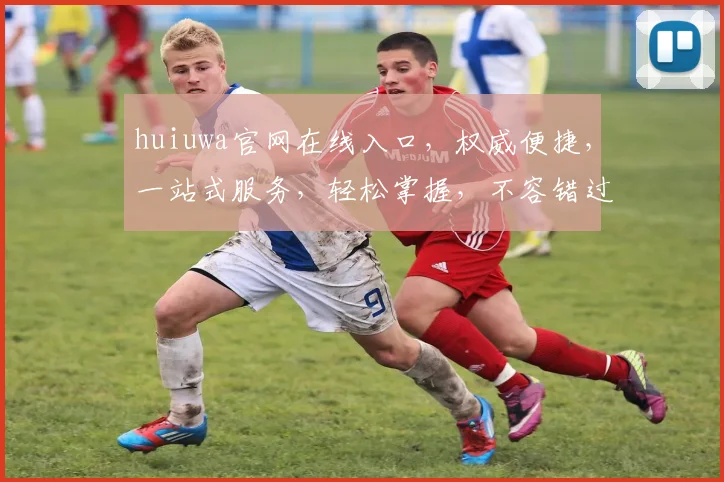 huiuwa官网在线入口，权威便捷，一站式服务，轻松掌握，不容错过